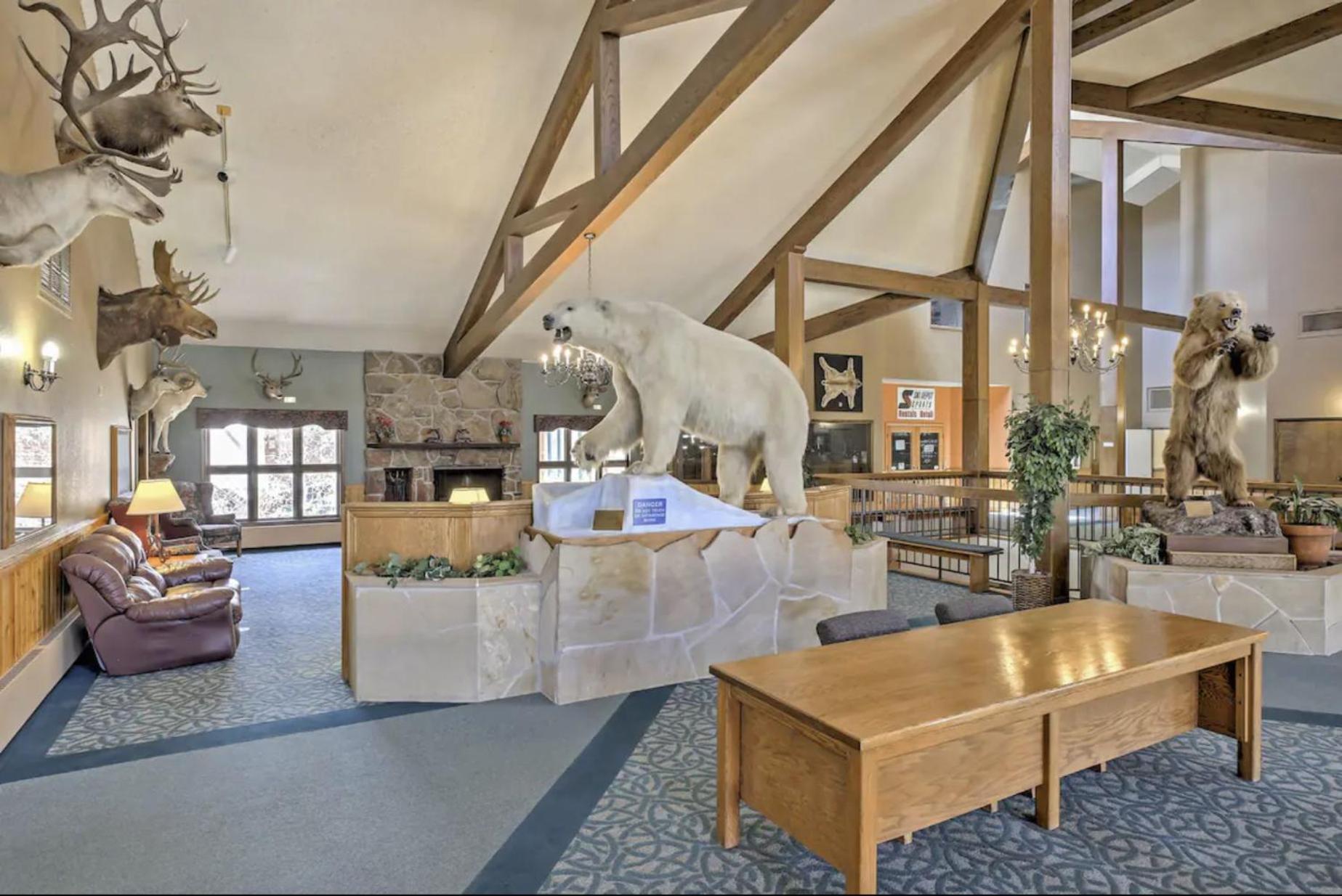 Appartement Relax, Adventure, Views, Amenities+Memories à Granby Extérieur photo